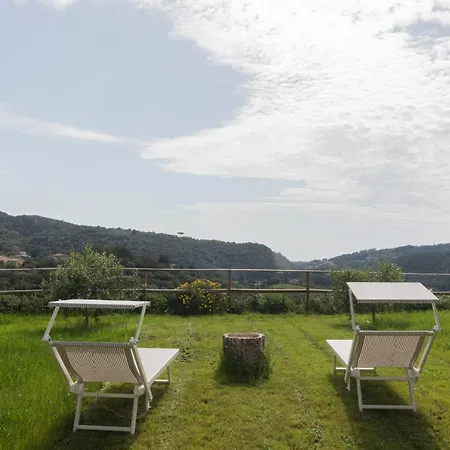 Belvedere By Helloelba